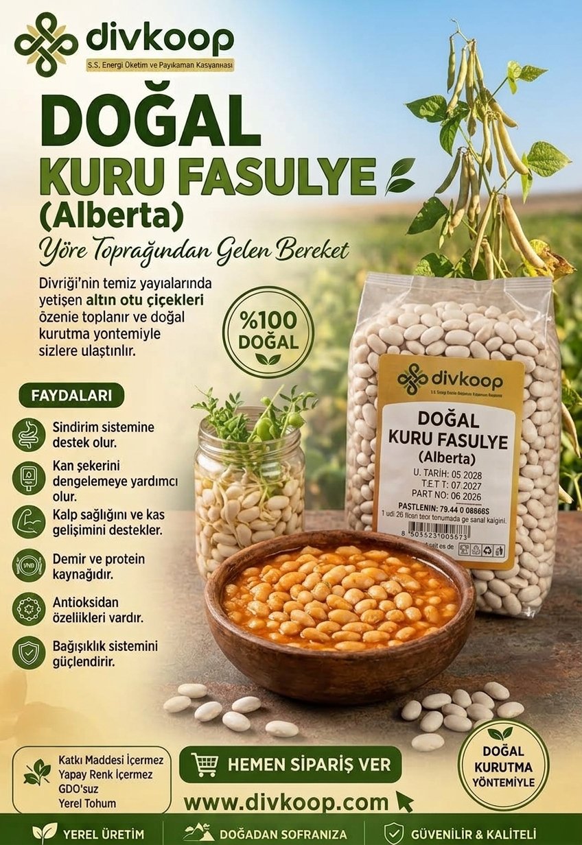 Doğal Kuru Fasulye (Alberta) 1 kg – Divriği Kooperatifi Güvencesiyle — Yöresel Ürünler, Merkez, Divriği