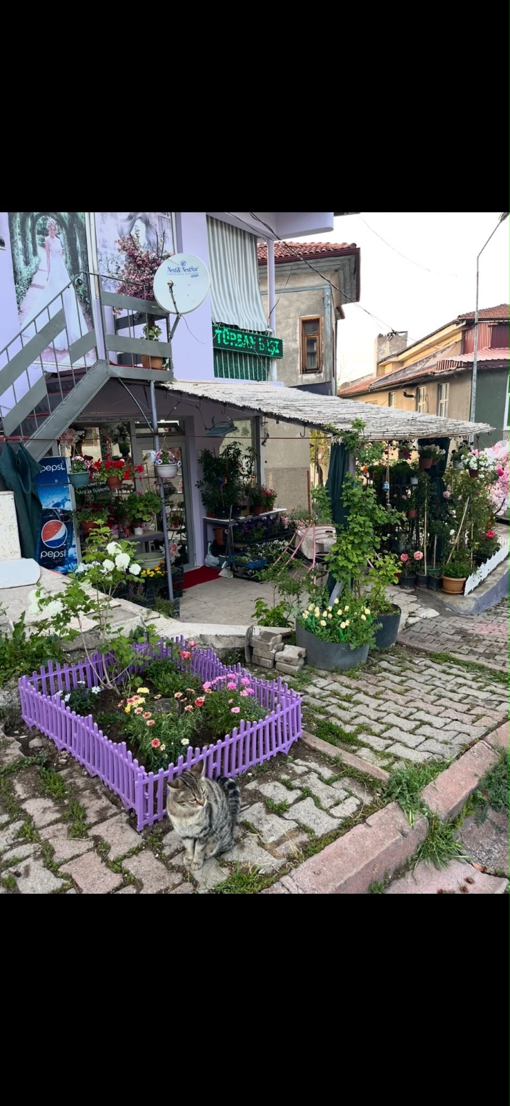 NUR ÇİÇEK & HEDİYELİK — Hizmetler, Mercantepe, Divriği
