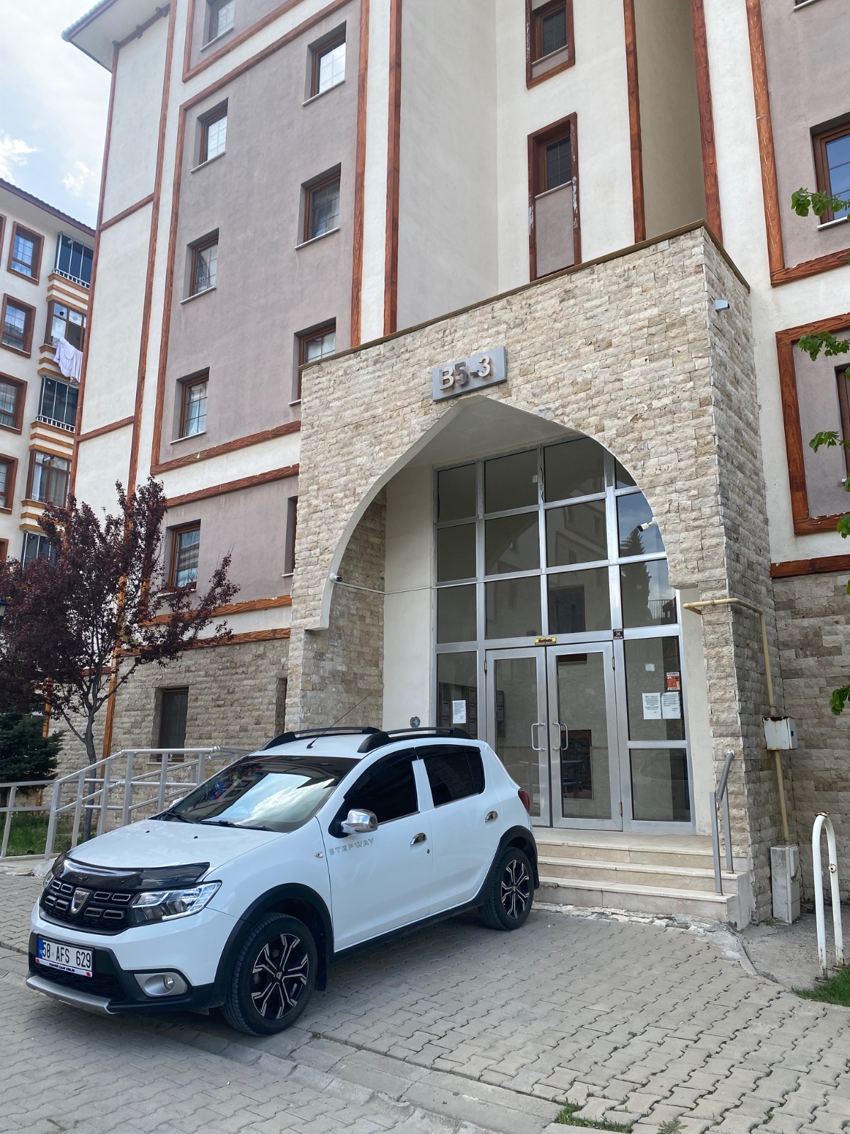 Tertemiz beyaz güvercin — Vasıta, Hacıkumru, Divriği