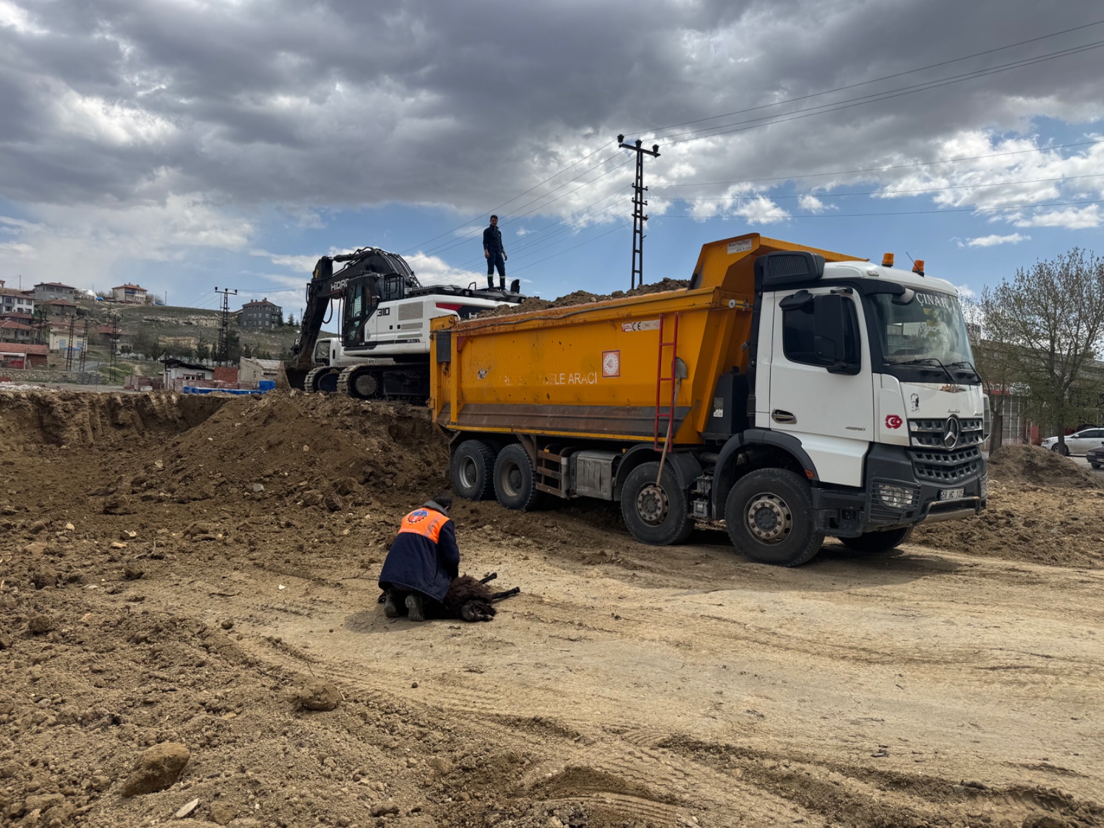 Çınar İnşaat & Ticaret — İşletmeler, Turabali, Divriği